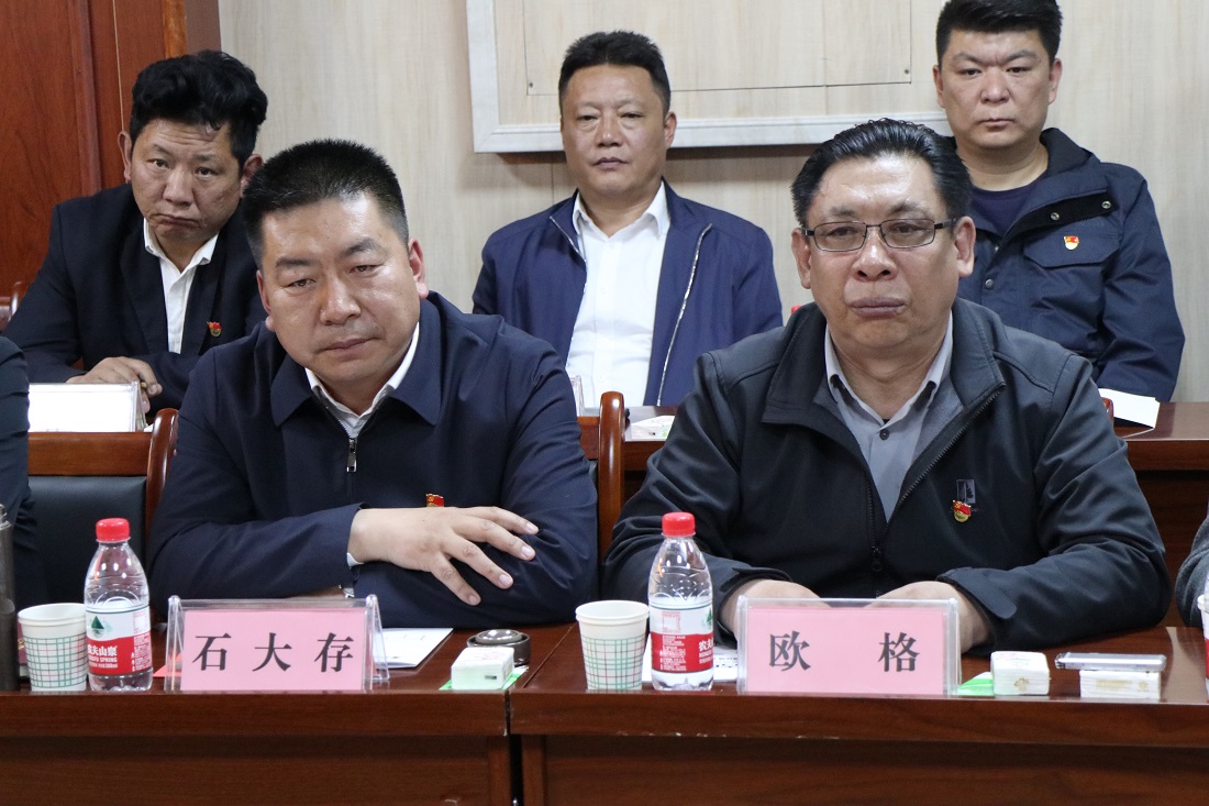 囊谦牵手国电投打造清洁能源产业示范园