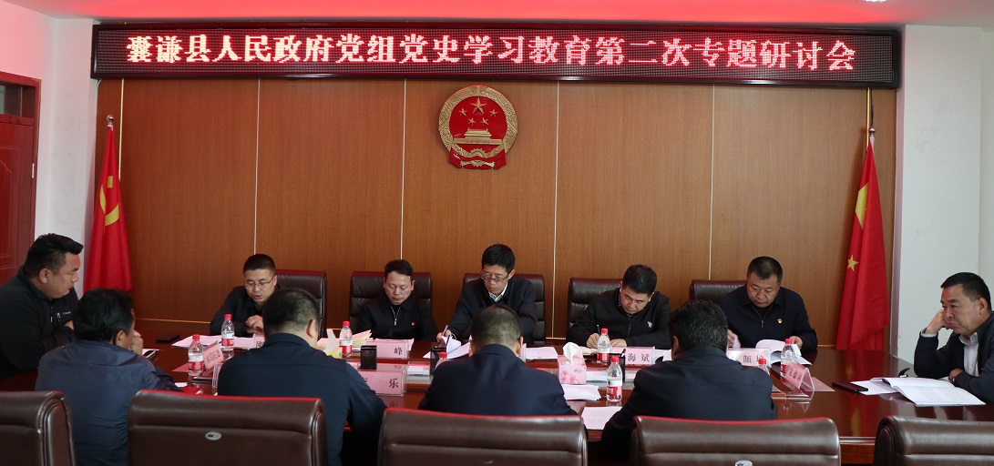 县政府党组召开党史学习教育第二次专题研讨会