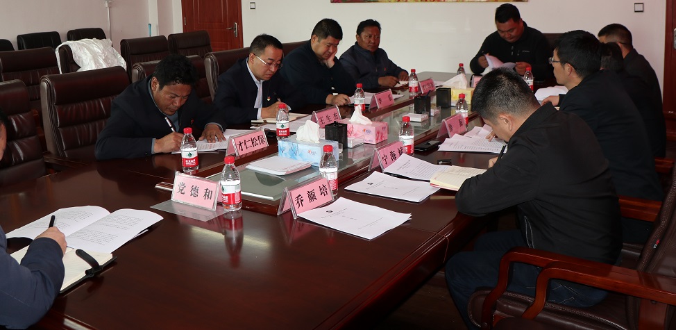 县政府党组召开党史学习教育第二次专题研讨会