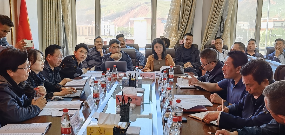 囊谦邀请民族建筑研究会专家为城镇风貌“把脉”