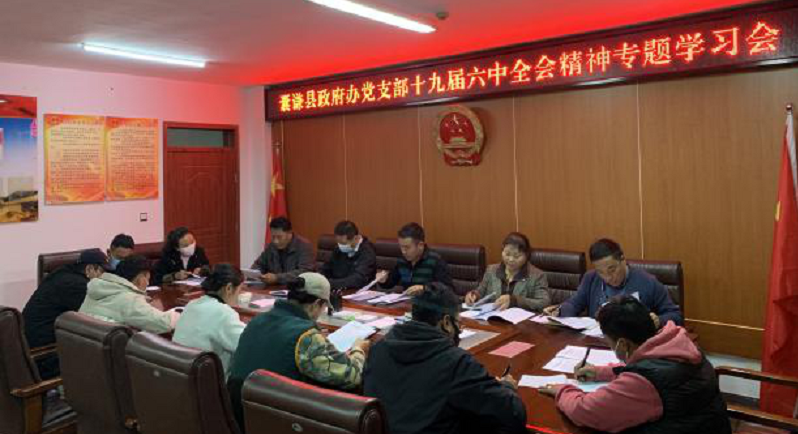 天九国际娱乐网站网址党支部 召开十九届六中全会精神专题学习会议