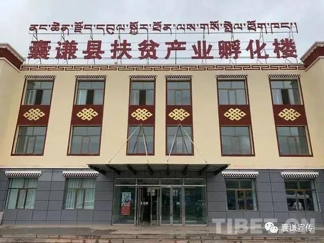 囊谦：小青稞种出大产业
