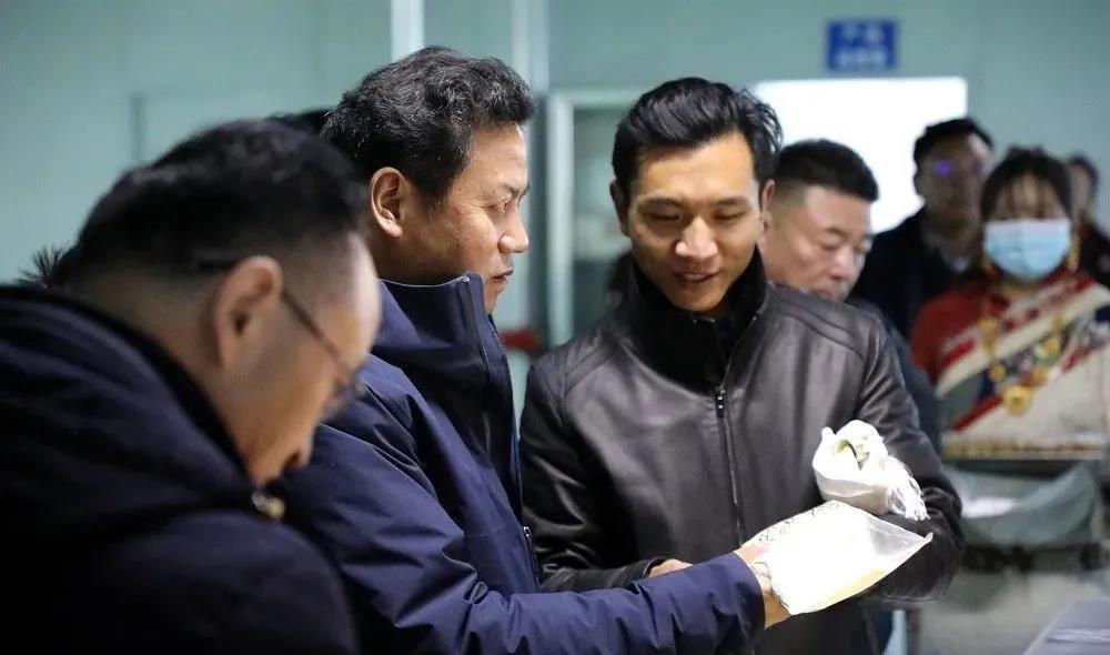才让太在玉调研时强调：深入贯彻党的十九届六中全会精神 推进重点项目建设和农牧业高质量发展