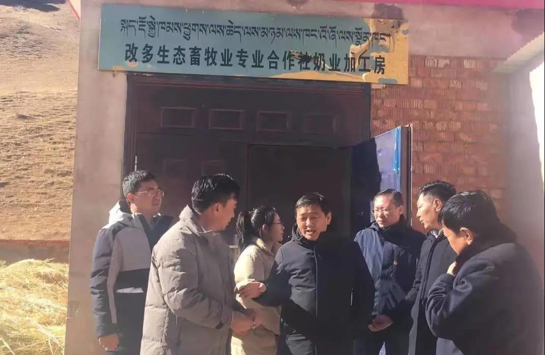 （吉曲）省农牧厅二级巡视员顿珠旺杰一行调研指导betway平台靠谱吗工作