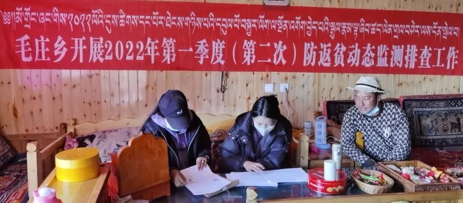 毛庄乡开展2022年第一季度第二次返贫动态监测和帮扶排查工作