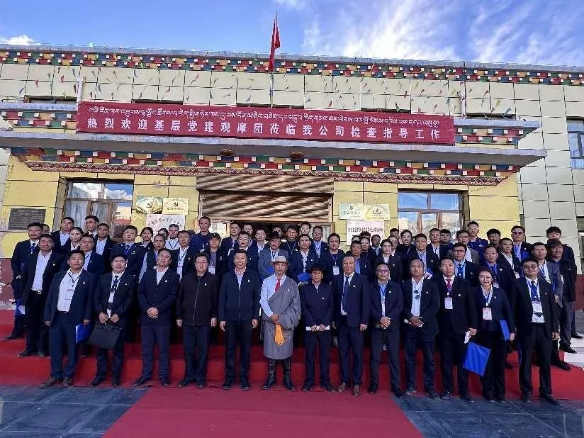 囊谦县召开基层党建现场观摩会暨重点任务推进会